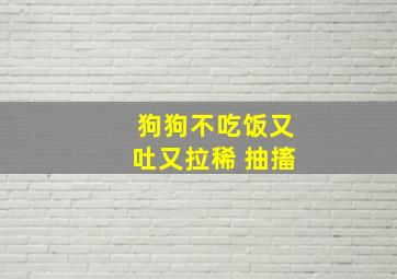 狗狗不吃饭又吐又拉稀 抽搐